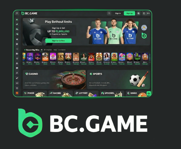 Guide to BC.Game Pakistan Registration Process